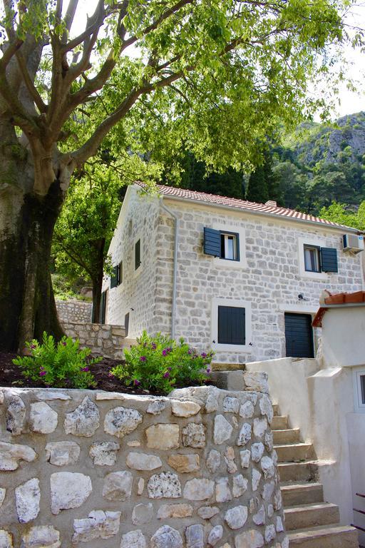 Villa Mima Kotor Ngoại thất bức ảnh