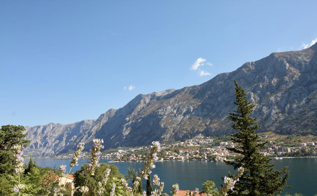 Villa Mima Kotor Ngoại thất bức ảnh